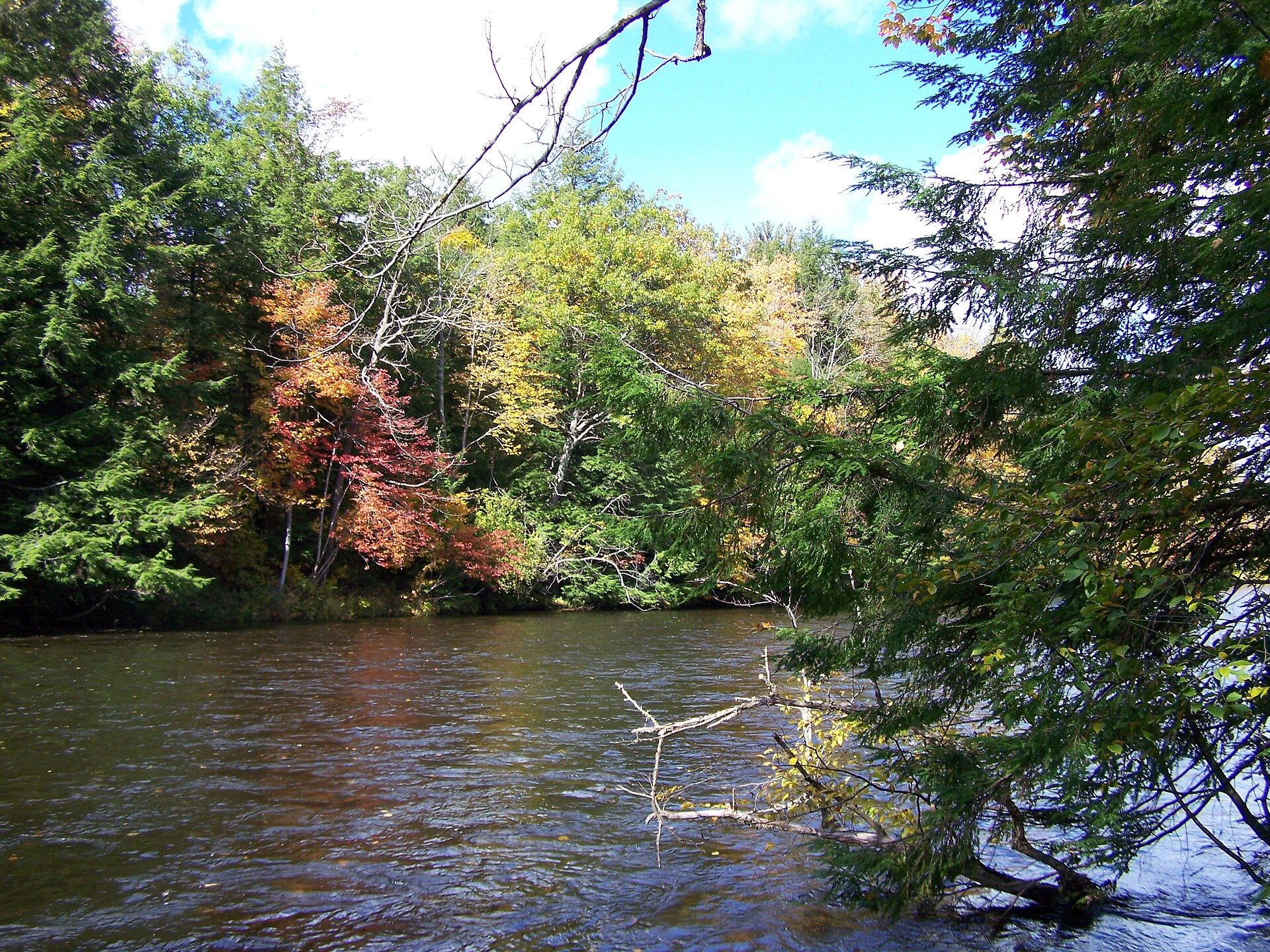 A calm tree lined river in early autumn, with one red maple and several yellowing trees on the far bank