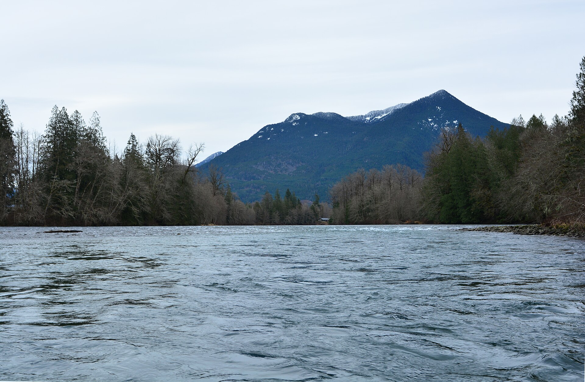 A wide grey green river running toward a snow dusted forested mountain, with bare winter trees along both banks