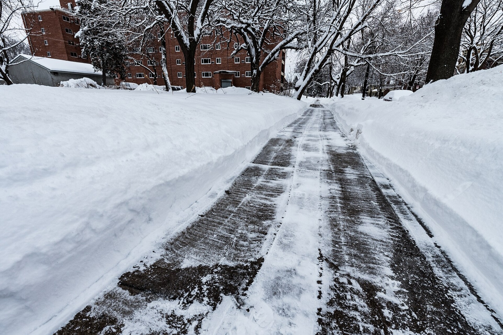 A city sidewalk photographed from ground level, cut clean down the middle between two snow banks that rise well above knee height, with a brick apartment block and snow laden bare trees along the street behind