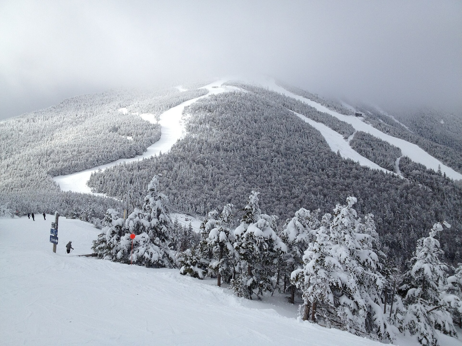 Snow-covered ski trails cut through conifer forest at Whiteface Mountain in New York