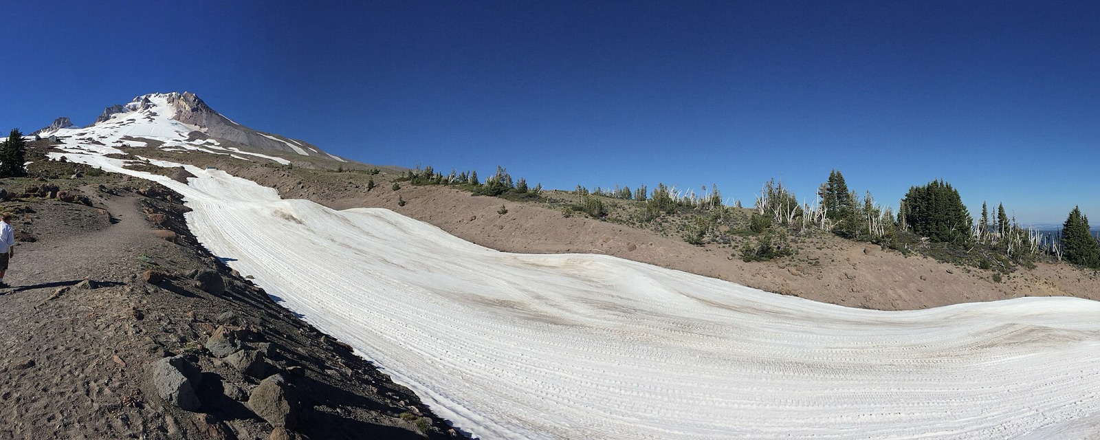 A long ribbon of summer snow on the Palmer Snowfield below the summit of Mount Hood in Oregon, surrounded by bare ground
