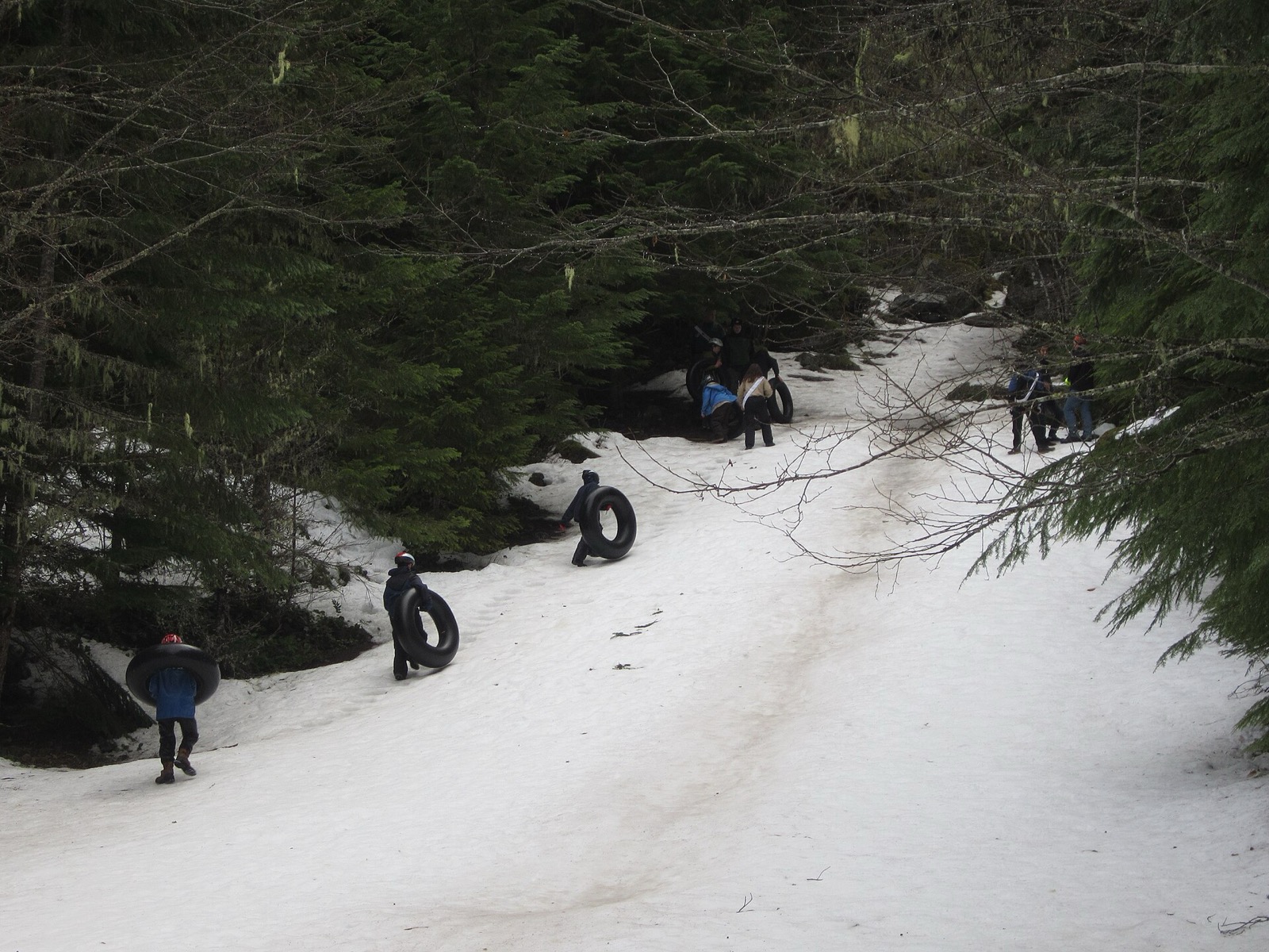 Four people in winter coats seen from behind carrying large black inner tubes up a packed snow run through dark evergreen forest, with more figures at the top of the run