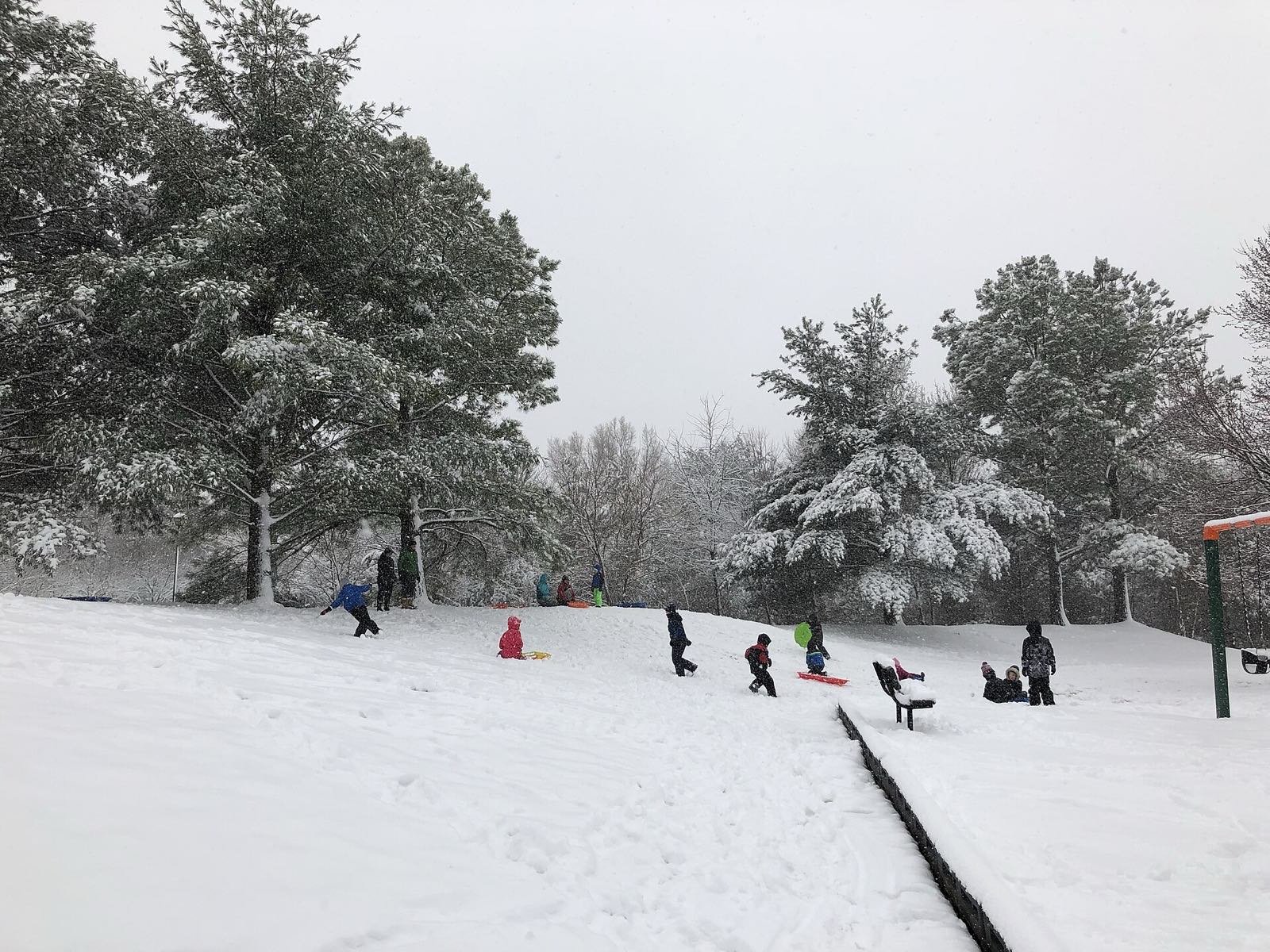 Children in bright snowsuits pulling sleds up a snowy park hill under tall snow covered pines while snow falls