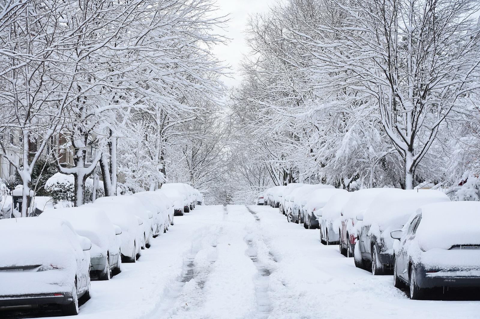 A residential street after a heavy snowfall seen at eye level from the middle of the road, parked cars buried to their windows along both kerbs, two sets of tyre tracks running away between them, and bare trees white to the tips arching over the street