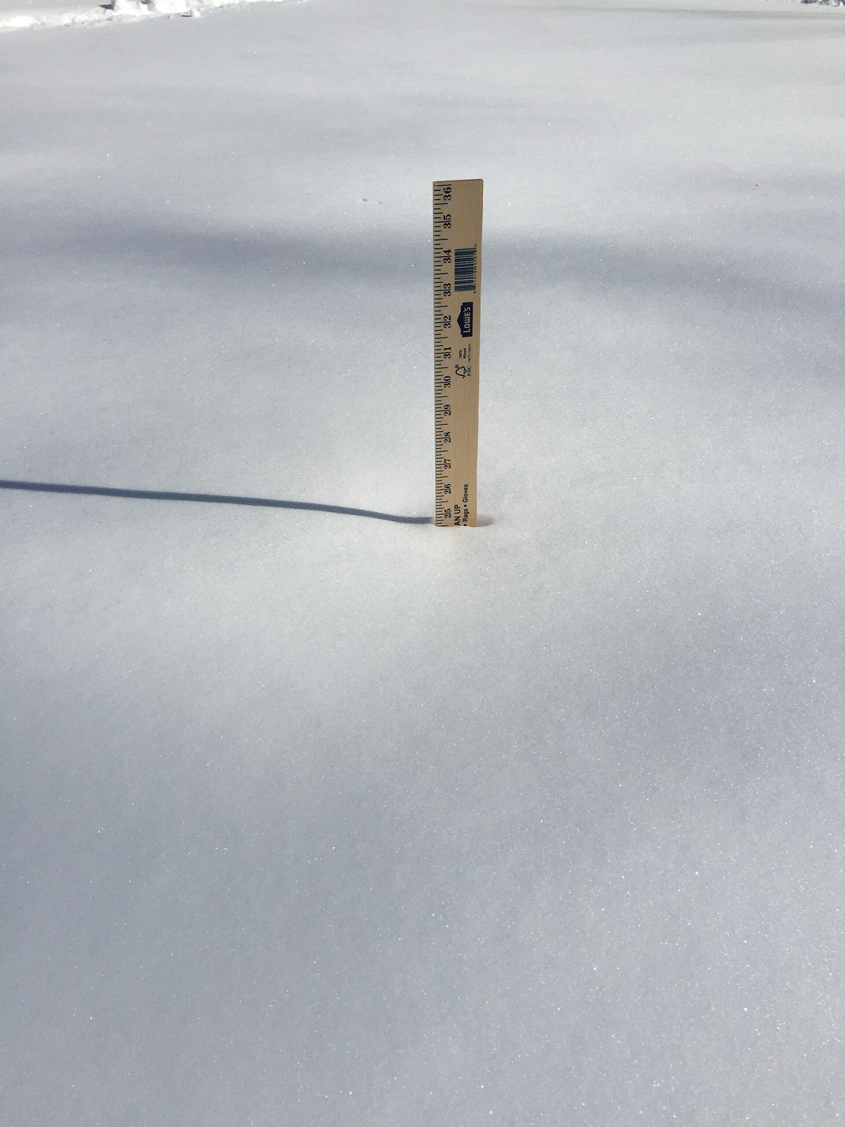 A wooden yardstick standing upright in a smooth, deep field of fresh snow with its 25 inch mark at the surface