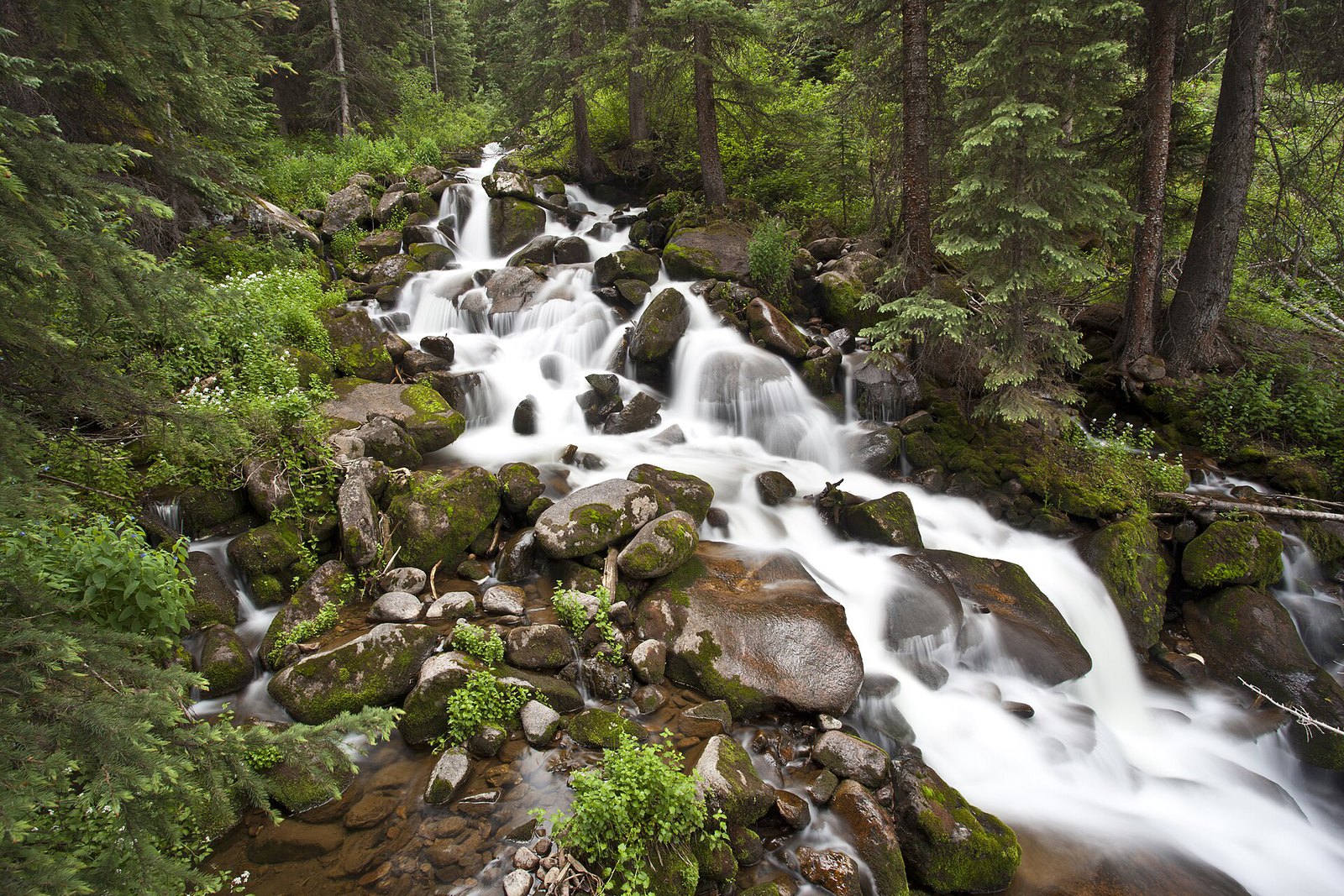 A high mountain basin in late spring with lingering snowfields on the upper slopes above green meadow and scattered conifers