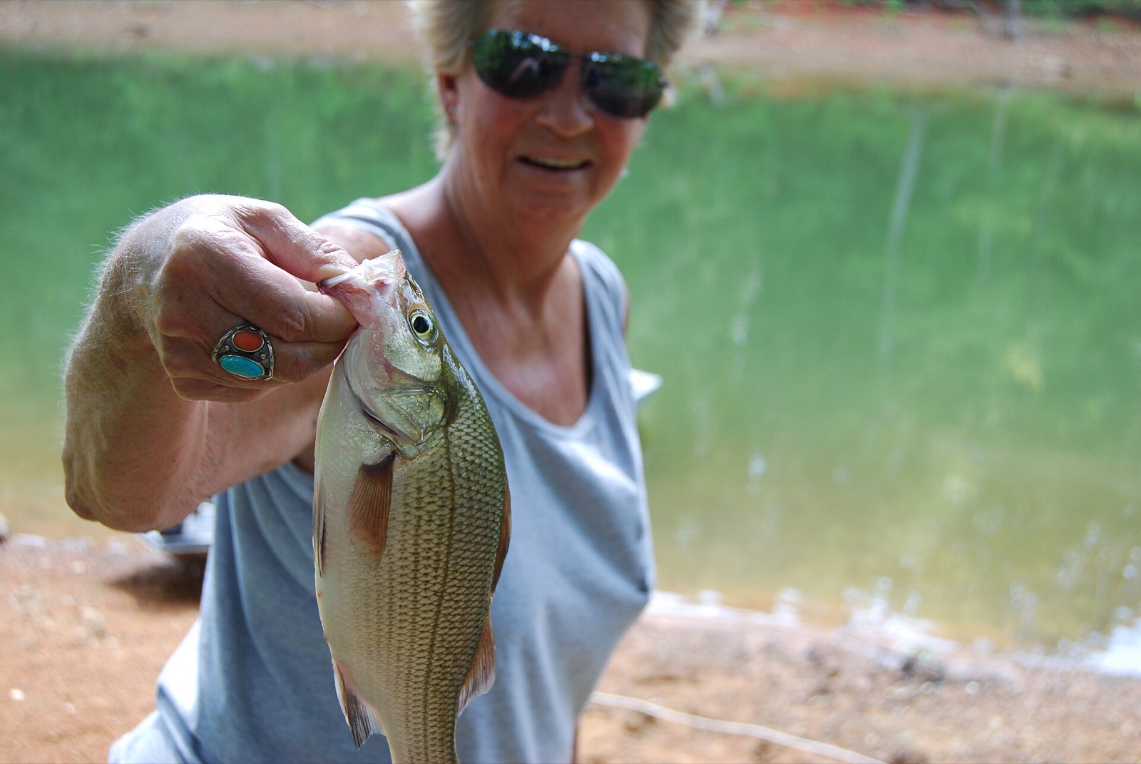 A smiling angler in sunglasses holds a silver white bass with dark side stripes toward the camera, green lake water behind her