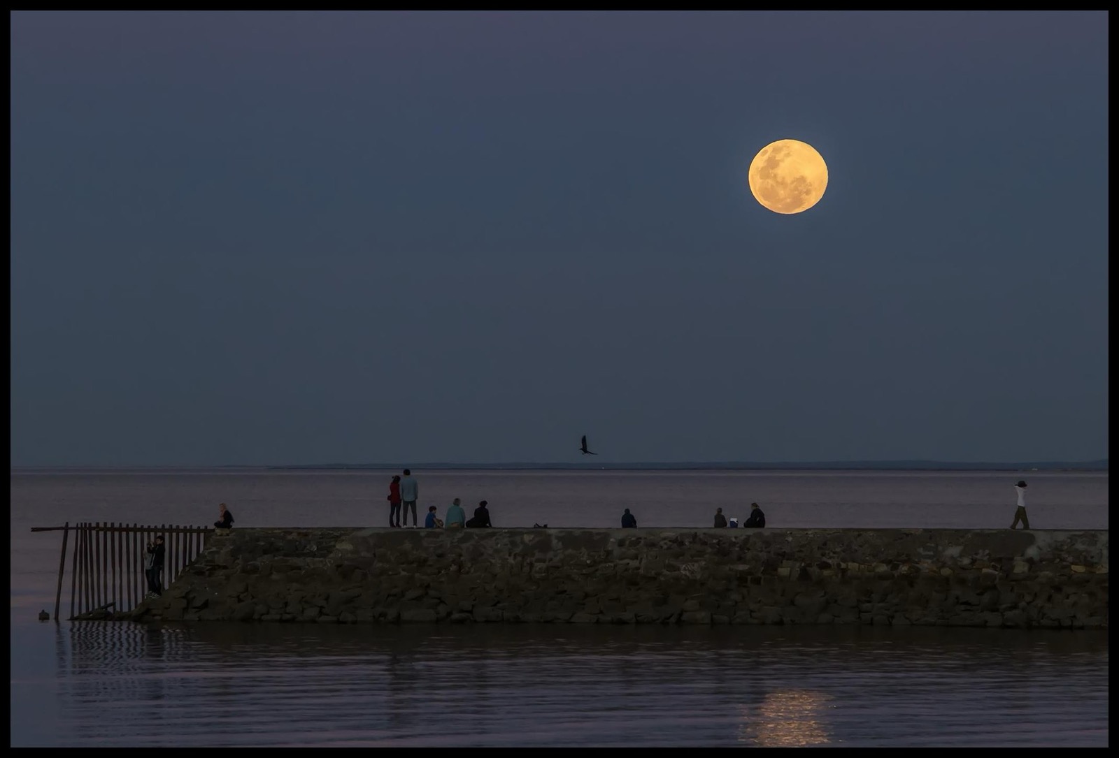 A full moon rising over calm water beyond a stone breakwater with people watching from it
