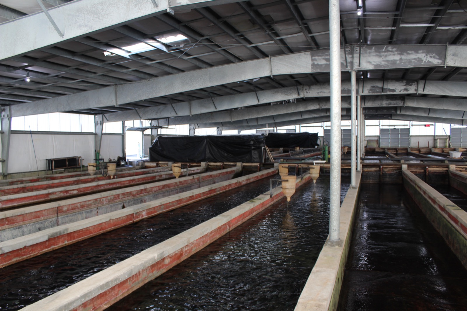 Long concrete raceways under a roof at Ennis National Fish Hatchery in Montana