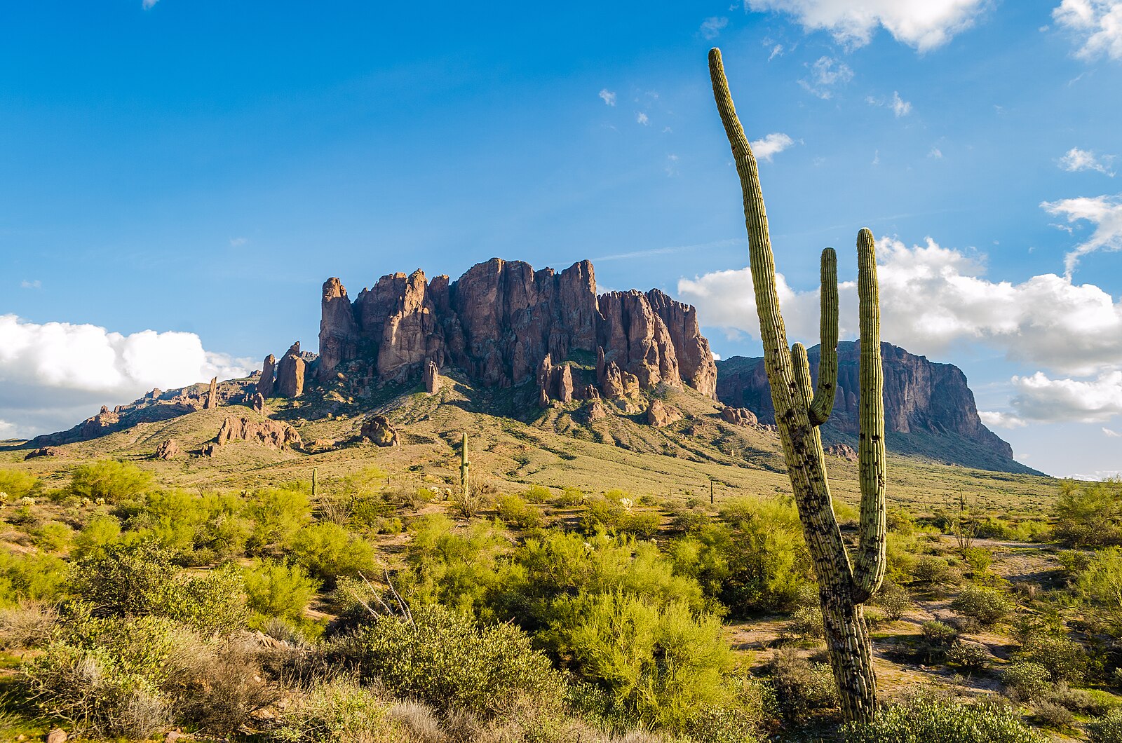 Saguaro cactus and desert scrub in front of the Superstition Mountains under a bright, nearly cloudless Arizona sky