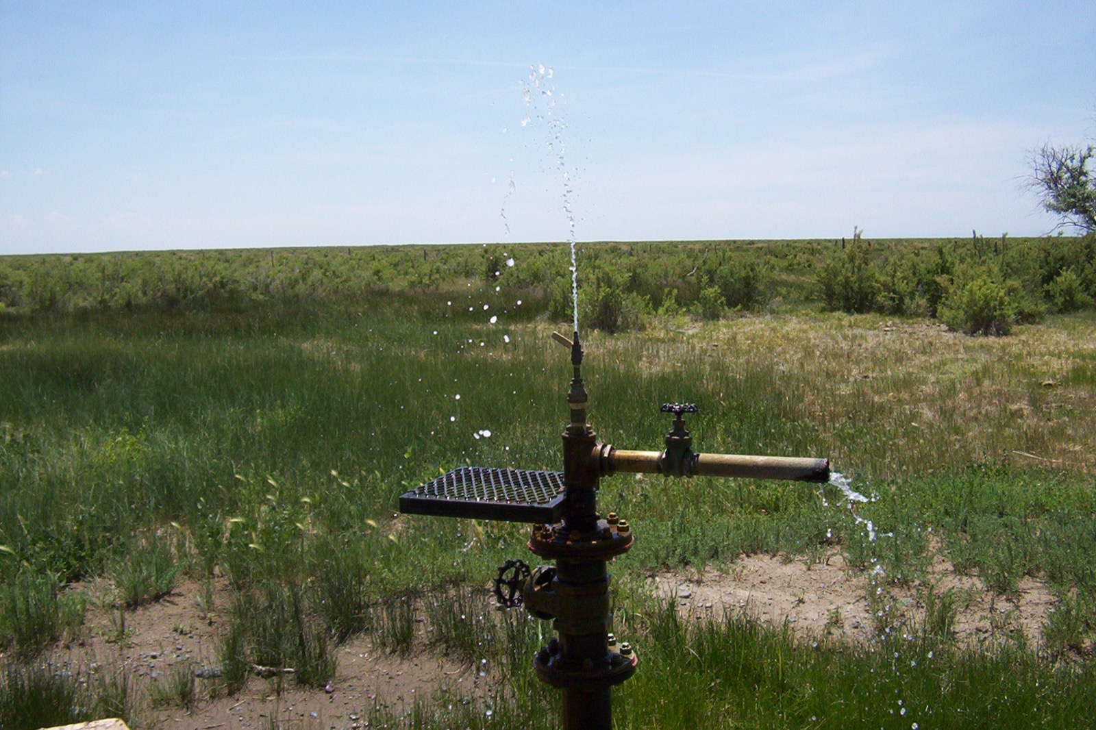 A flowing artesian well head in a grassland, water rising from the pipe under its own pressure