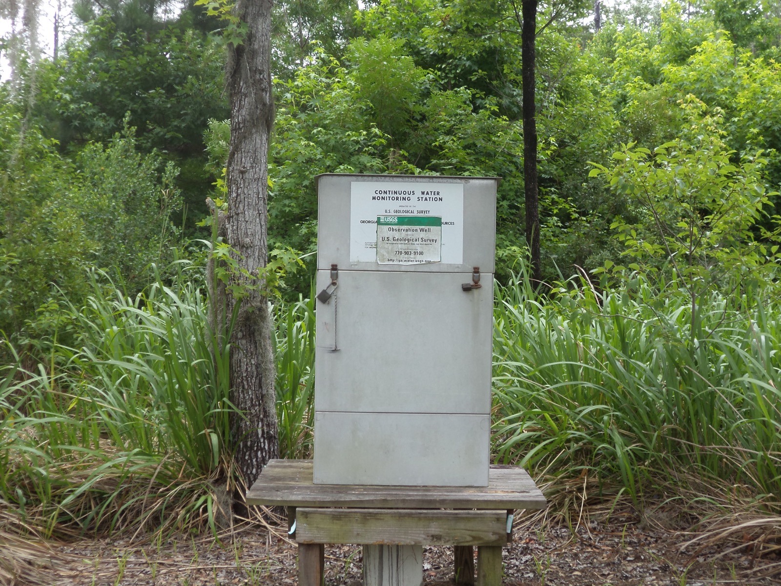 A USGS continuous water monitoring station cabinet at an observation well in a Georgia forest