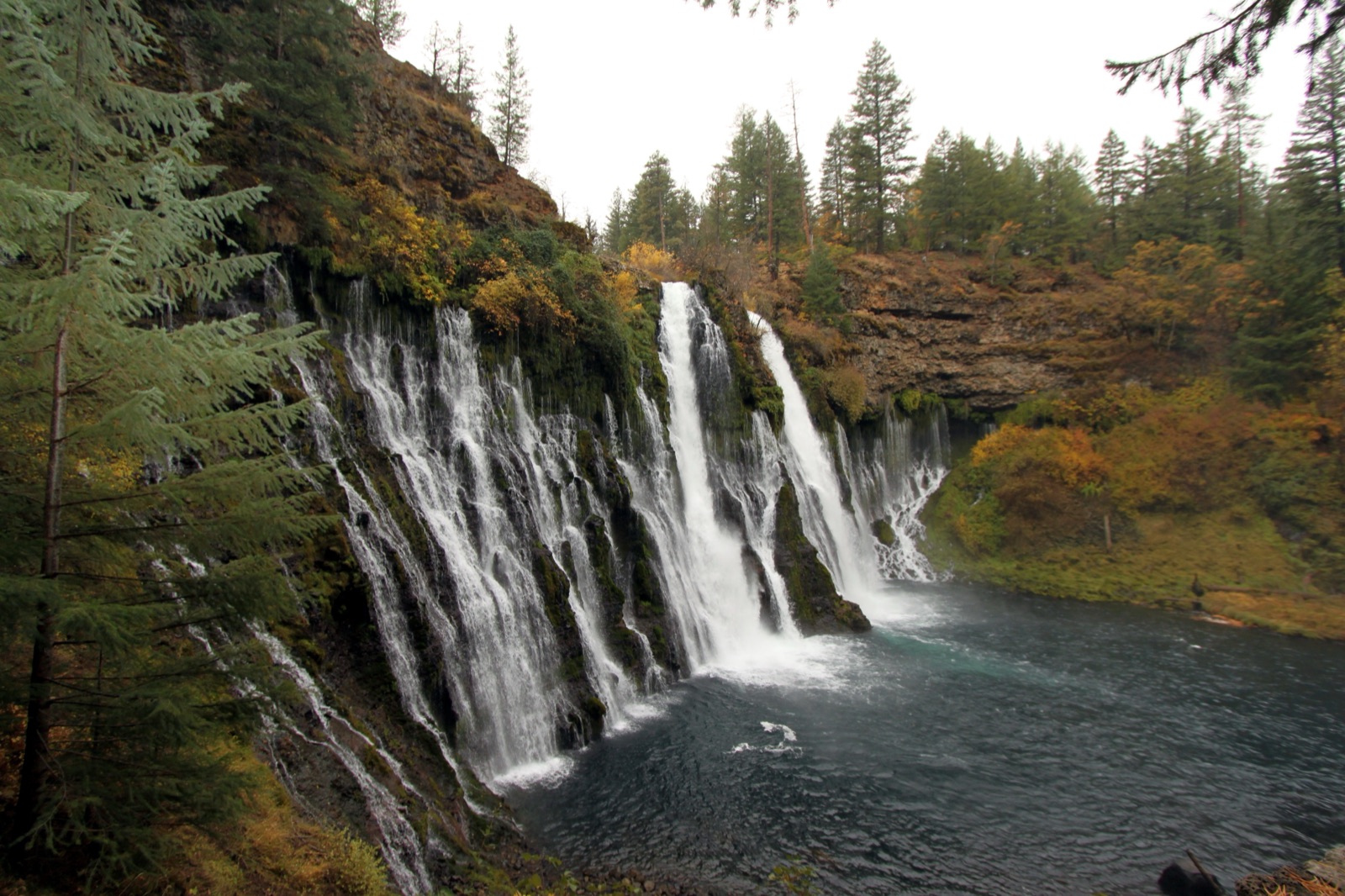 A spring fed waterfall spreading in lacy strands across a wide mossy cliff