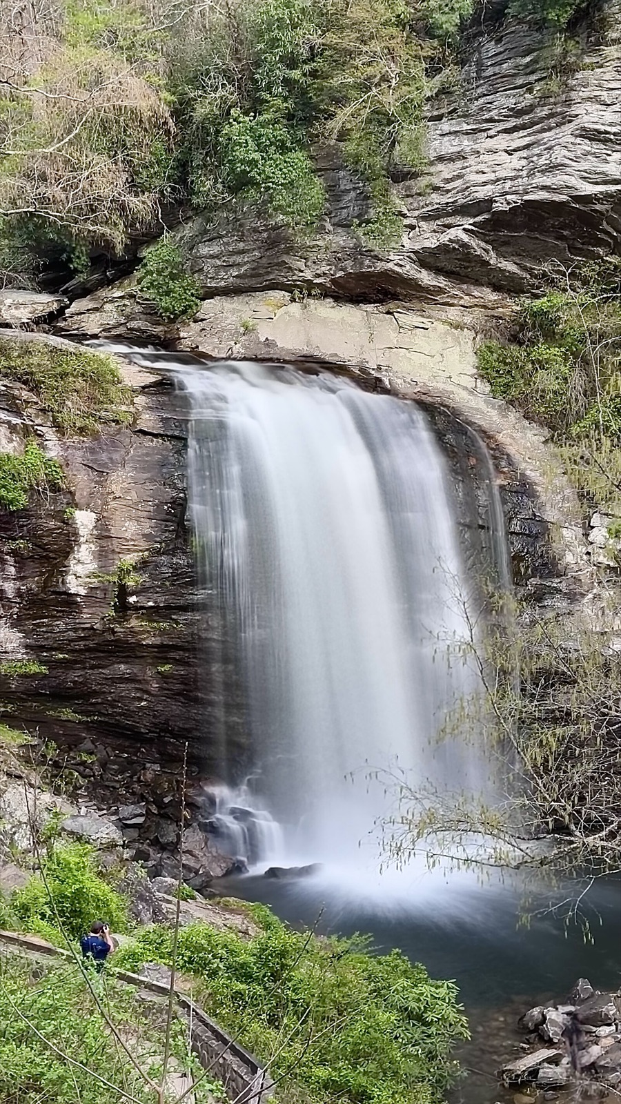 A cascade sliding down a mossy rock face in eastern hardwood forest