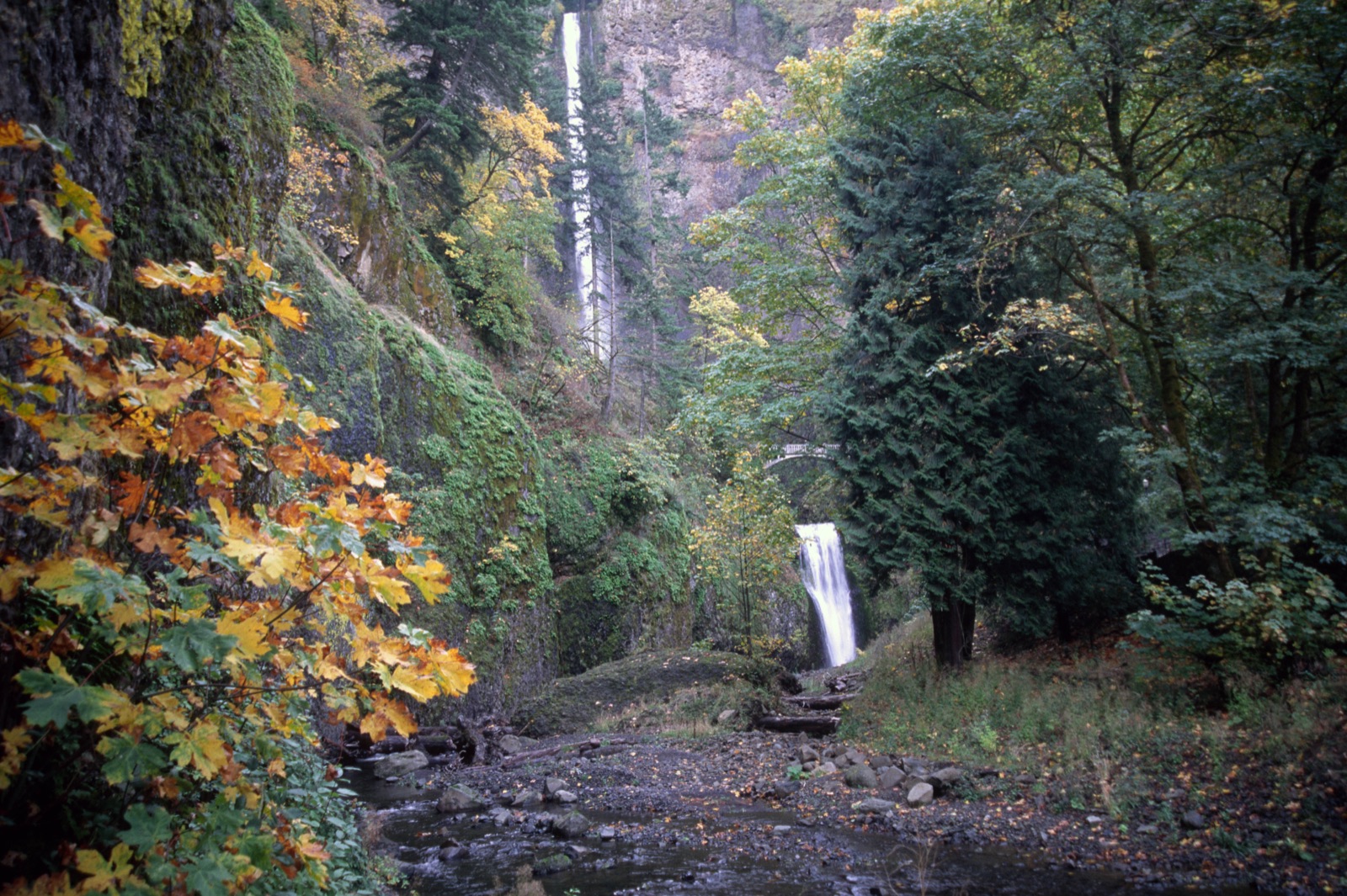 Multnomah Falls in two tiers behind Benson Bridge, framed by fall color in the Columbia River Gorge