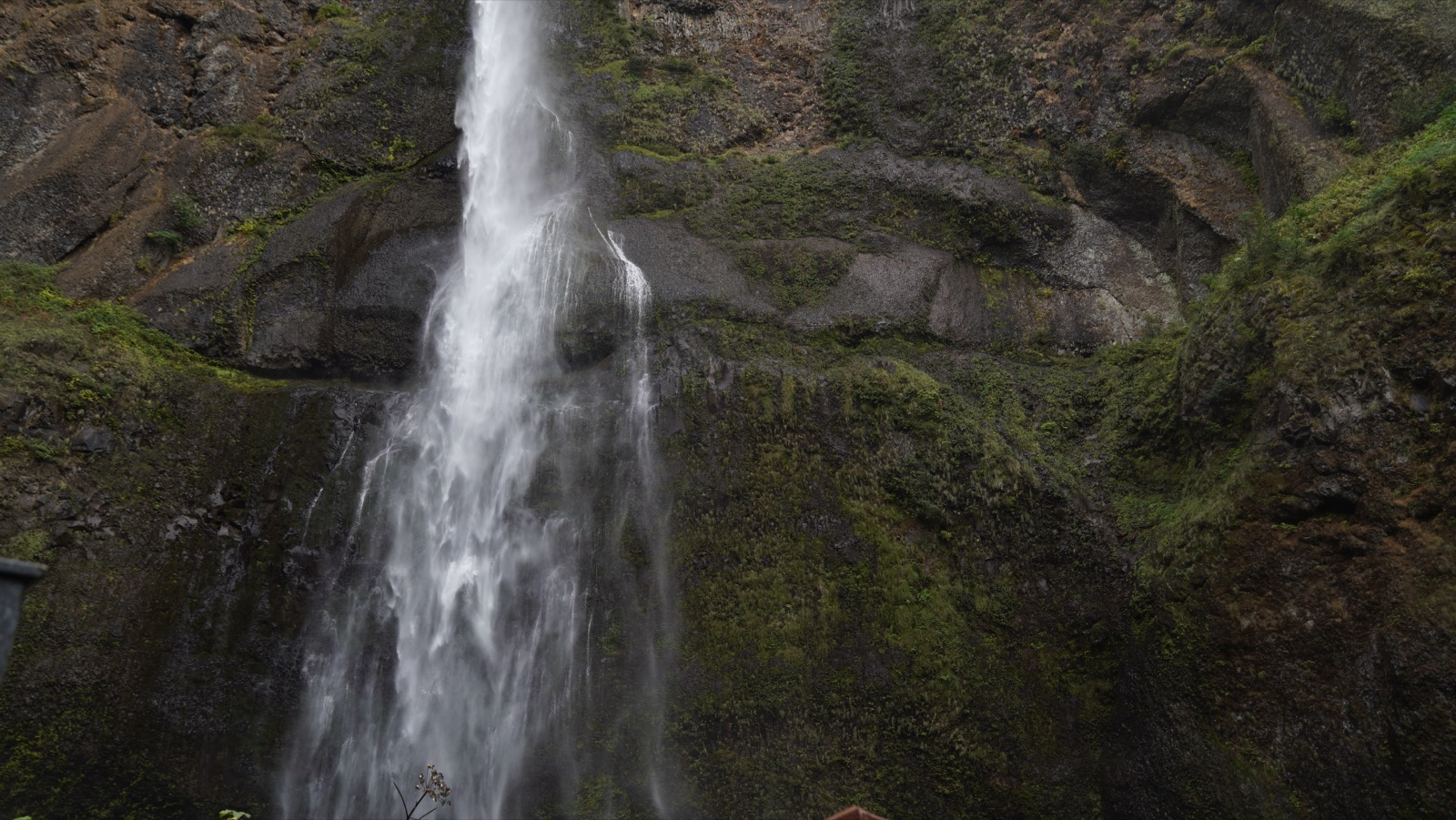 A tall Columbia Gorge waterfall pouring down a mossy basalt wall