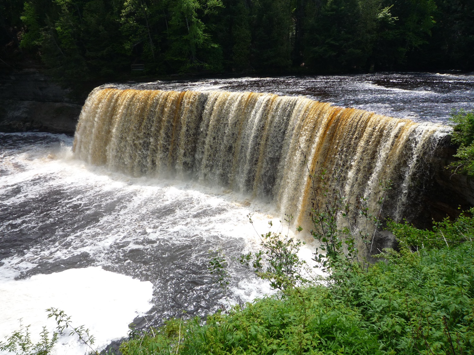 An Upper Peninsula waterfall over a sandstone ledge in green forest