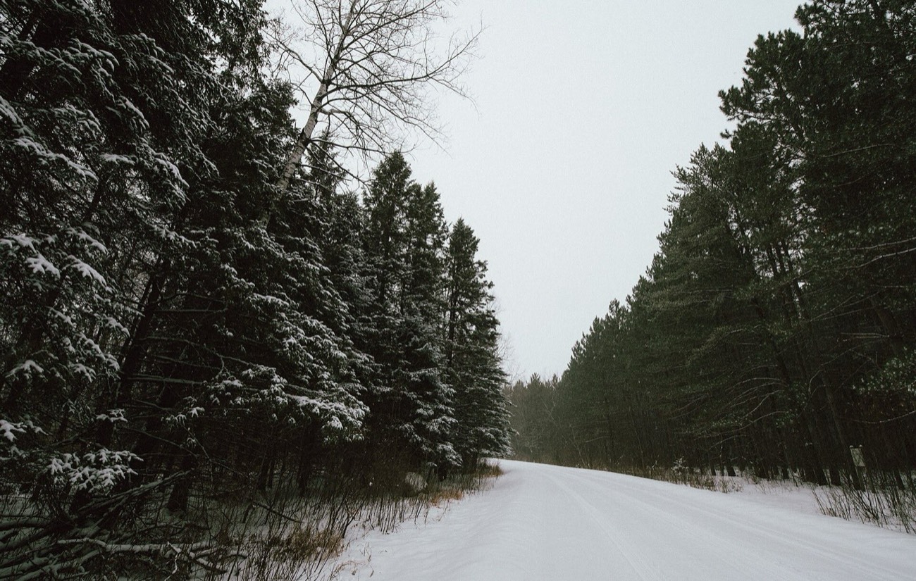 A snow covered road running between tall evergreens at Banning State Park in Minnesota under a pale winter sky
