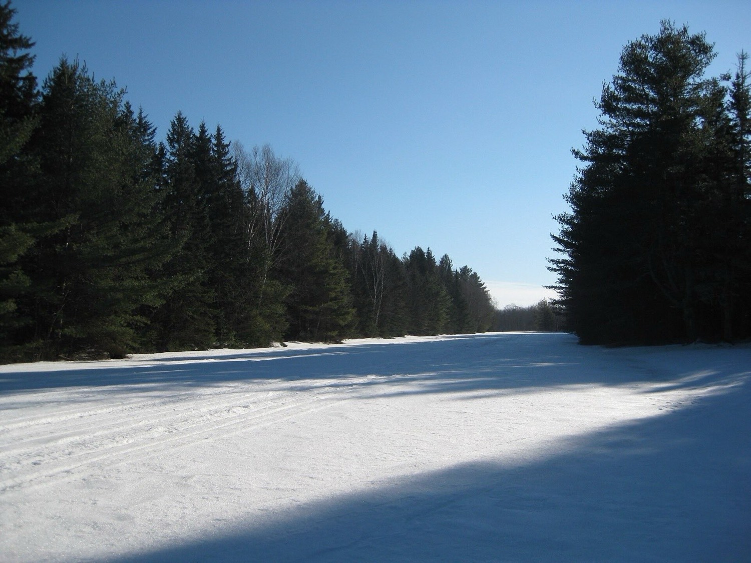 A snow covered road in New Hampshire running between stands of pine and spruce under a clear blue sky