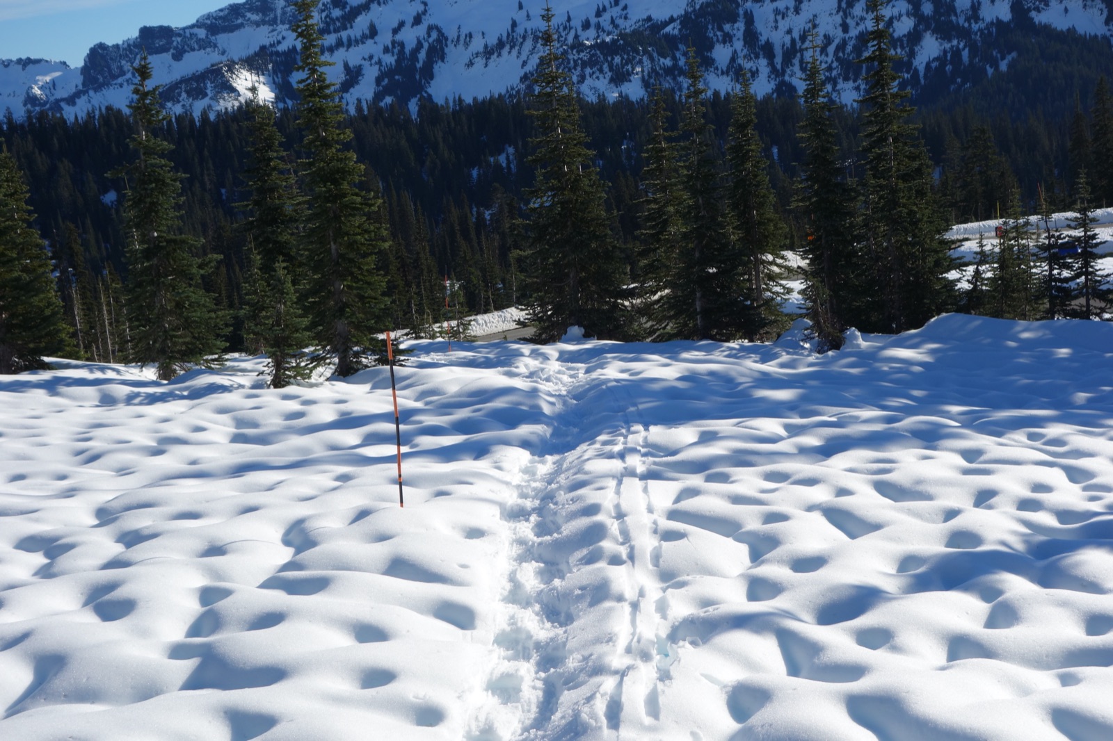 Snow-covered mountain peak above a winter forest